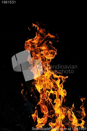 Image of wild fire