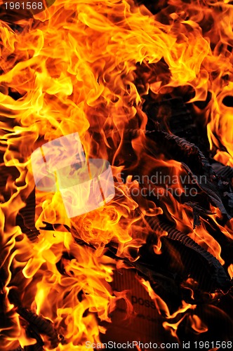 Image of wild fire