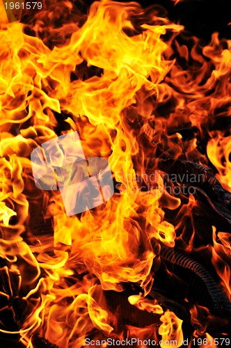 Image of wild fire