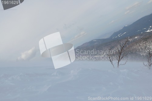 Image of winter landscape