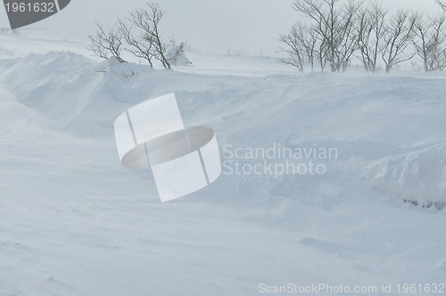 Image of winter landscape