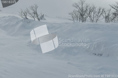 Image of winter landscape