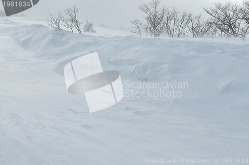 Image of winter landscape