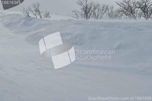 Image of winter landscape