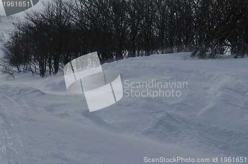 Image of winter landscape