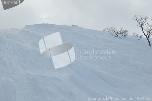 Image of winter landscape