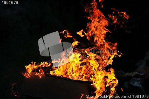 Image of wild fire