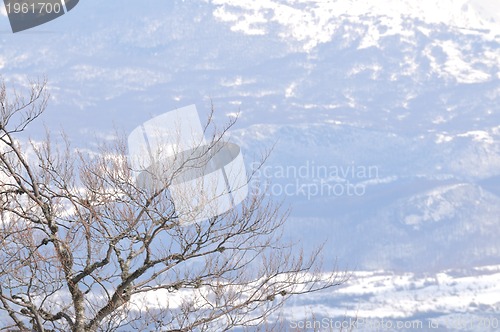 Image of winter landscape