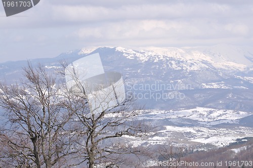 Image of winter landscape