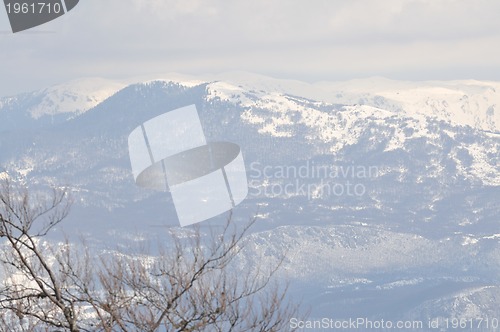 Image of winter landscape