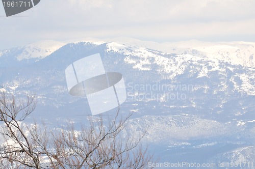 Image of winter landscape