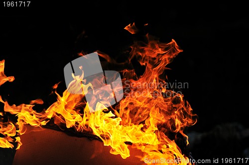 Image of wild fire