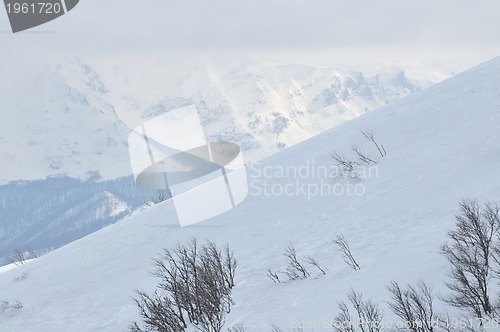 Image of winter landscape