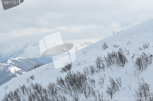 Image of winter landscape