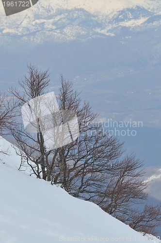 Image of winter landscape