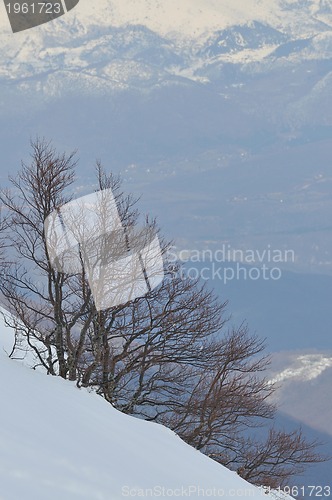 Image of winter landscape