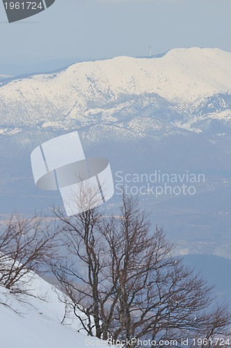 Image of winter landscape