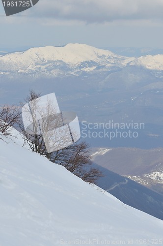 Image of winter landscape