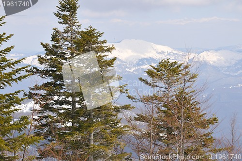 Image of winter landscape