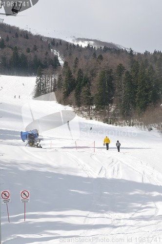 Image of winter sport