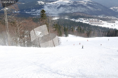 Image of winter landscape