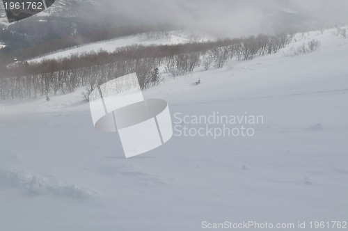 Image of winter landscape