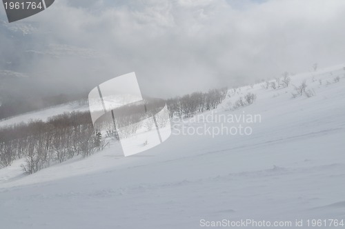 Image of winter landscape