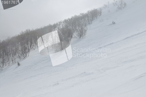 Image of winter landscape