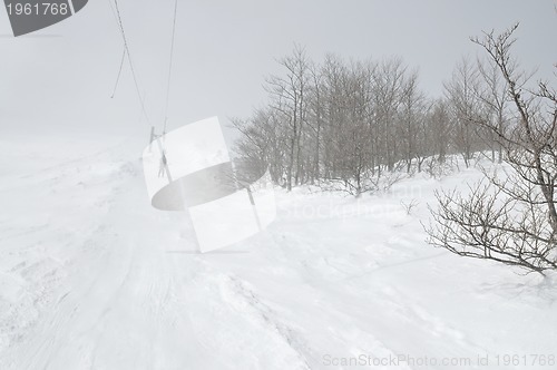 Image of winter landscape