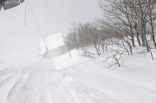 Image of winter landscape