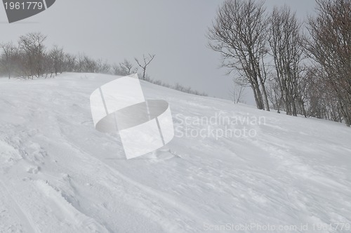 Image of winter landscape