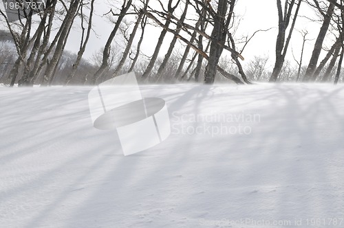 Image of winter landscape