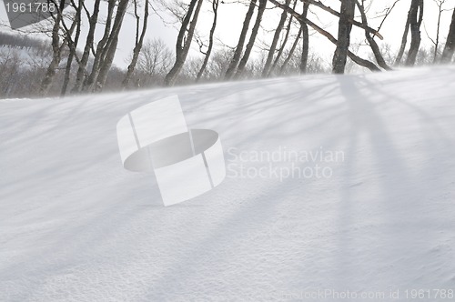 Image of winter landscape