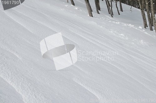 Image of winter landscape