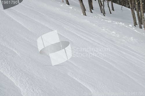 Image of winter landscape