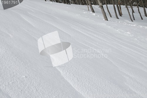 Image of winter landscape