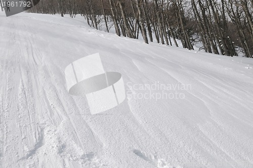 Image of winter landscape