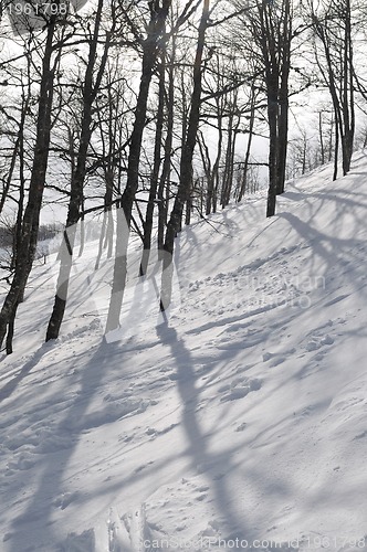 Image of winter landscape