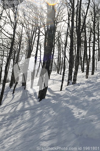 Image of winter landscape