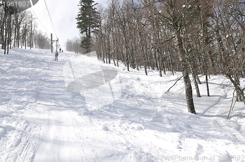 Image of winter landscape