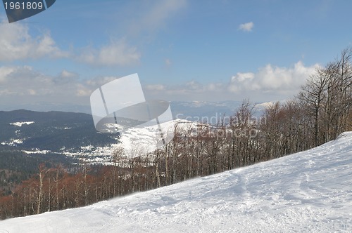 Image of winter landscape