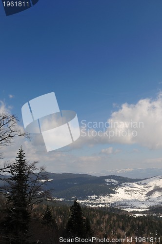 Image of winter landscape