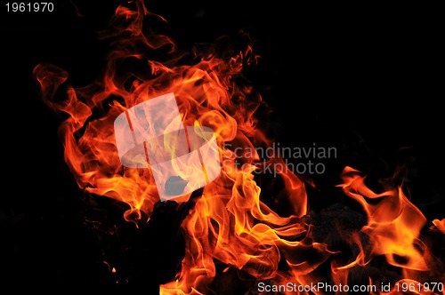 Image of wild fire