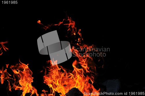 Image of wild fire