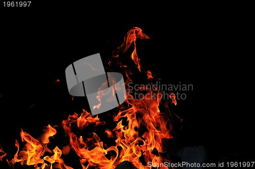 Image of wild fire