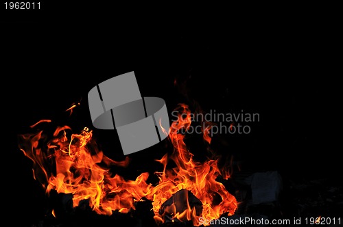 Image of wild fire