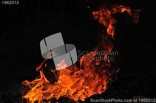Image of wild fire