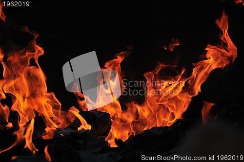 Image of wild fire