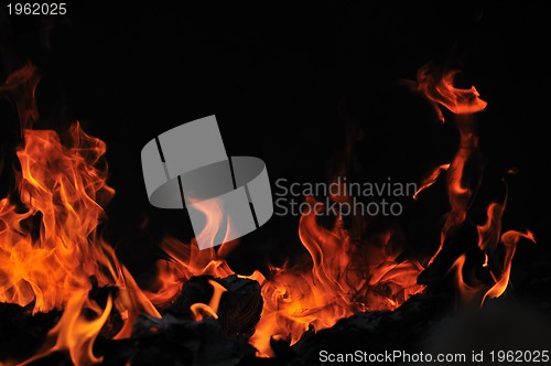 Image of wild fire