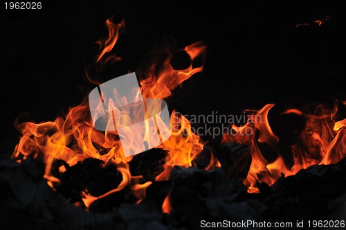 Image of wild fire